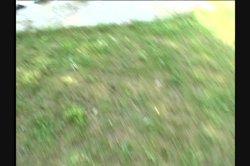 'Big Natural Tits 9' screenshot nº 91