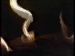 'Love On The...Hershe Highway' screenshot nº 58
