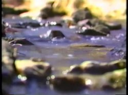 'Love On The...Hershe Highway' screenshot nº 1