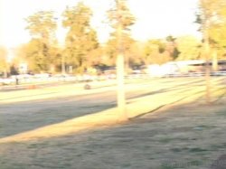 Captura de 'I Scored A Soccer Mom!' nº 2