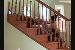 'Assploitations 7' screenshot nº 61