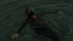 Captura de 'Furgina' nº 106