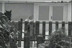 'British Lesbian Lovers 2' screenshot nº 72