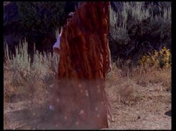 'Hot Pink 2' screenshot nº 137