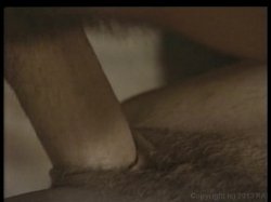 Captura de 'Analizer, The' nº 25