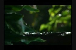 Captura de 'Island Rain' nº 95