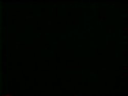 'Diego's Girls' screenshot nº 1