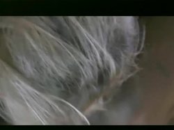 'Pussyman Auditions 15' screenshot nº 56