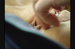 Captura de 'Nasty Filthy Cab Rides 8' nº 126
