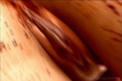 Captura de 'Work It Work It Get It Get It' nº 24