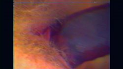 'Retro 4 Pack' screenshot nº 118