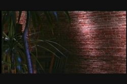 'Wrong Girl' screenshot nº 32