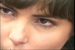 Captura de 'Legal Skin #8' nº 127
