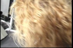 'Big Boob Bangeroo 19' screenshot nº 20