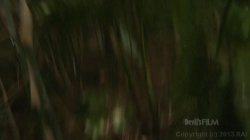 'That Cougar Fucks Like An Animal 6' screenshot nº 84
