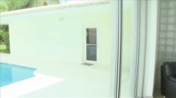 'Cum Fiesta Vol. 14' screenshot nº 123