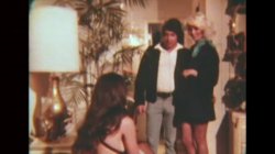 'Swedish Erotica 291 - Spring Vacation' screenshot nº 10