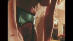 'Swedish Erotica 291 - Spring Vacation' screenshot nº 14