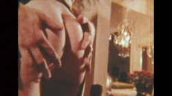 'Swedish Erotica 291 - Spring Vacation' screenshot nº 15
