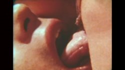 'Swedish Erotica 291 - Spring Vacation' screenshot nº 27