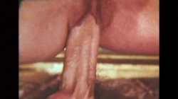 'Swedish Erotica 291 - Spring Vacation' screenshot nº 33