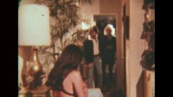 'Swedish Erotica 291 - Spring Vacation' screenshot nº 9