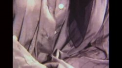 Captura de 'Swedish Erotica 322 - Just Buzz Me' nº 22
