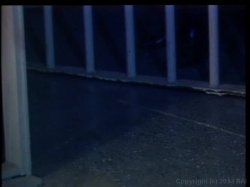 'Tori Welles Exposed' screenshot nº 64