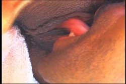 'She Got Game' screenshot nº 69