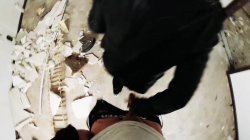 'MILF Hunting 24 Vol. 1' screenshot nº 137