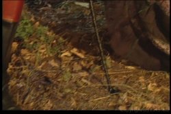 Captura de 'Pro Teen Power' nº 139