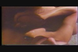 Captura de 'Erotic World of Seka, The' nº 88