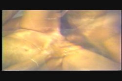 Captura de 'Erotic World of Seka, The' nº 99