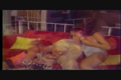 Captura de 'Erotic World of Seka, The' nº 112