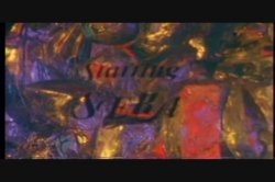 Captura de 'Erotic World of Seka, The' nº 2