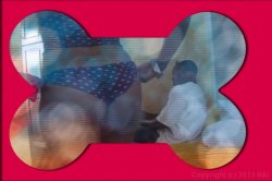 'Phattylicious 4' screenshot nº 2