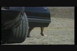 'Super Tramp' screenshot nº 44
