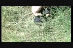'Super Tramp' screenshot nº 45