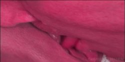 'GiGi' screenshot nº 122