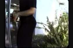 'Buttman's Favorite Big Butt Babes #2' screenshot nº 1