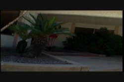 Captura de 'Real Female Masturbation 19' nº 2