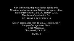 'Big Um Fat Black Freaks 14' screenshot nº 136