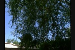 'L.A. Unforgiven' screenshot nº 102