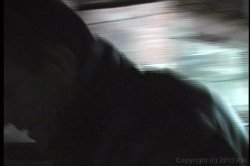 Captura de 'Rocco: Animal Trainer' nº 50