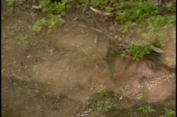 'Invisible' screenshot nº 91