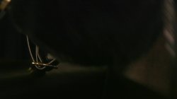 Captura de 'Lesbian Seduction, A' nº 6