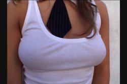 'Joey Silvera's Service Animals 22' screenshot nº 19