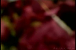 'Love Potion 69 #2' screenshot nº 140