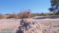 'Picked Up and Fucked Again: Mandy Muse' screenshot nº 14