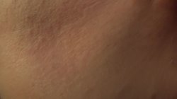 'Bush Fucked Hairy Hotties' screenshot nº 4